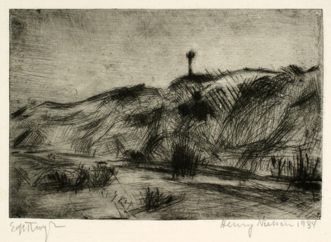 Duinlandschap met zeemerk door Henry Nielsen