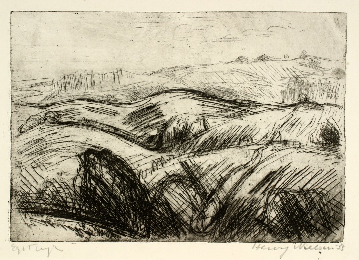 Sterk heuvelachtig landschap door Henry Nielsen