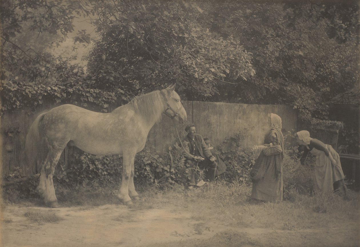 [Old Dapple] door Henry Peach Robinson