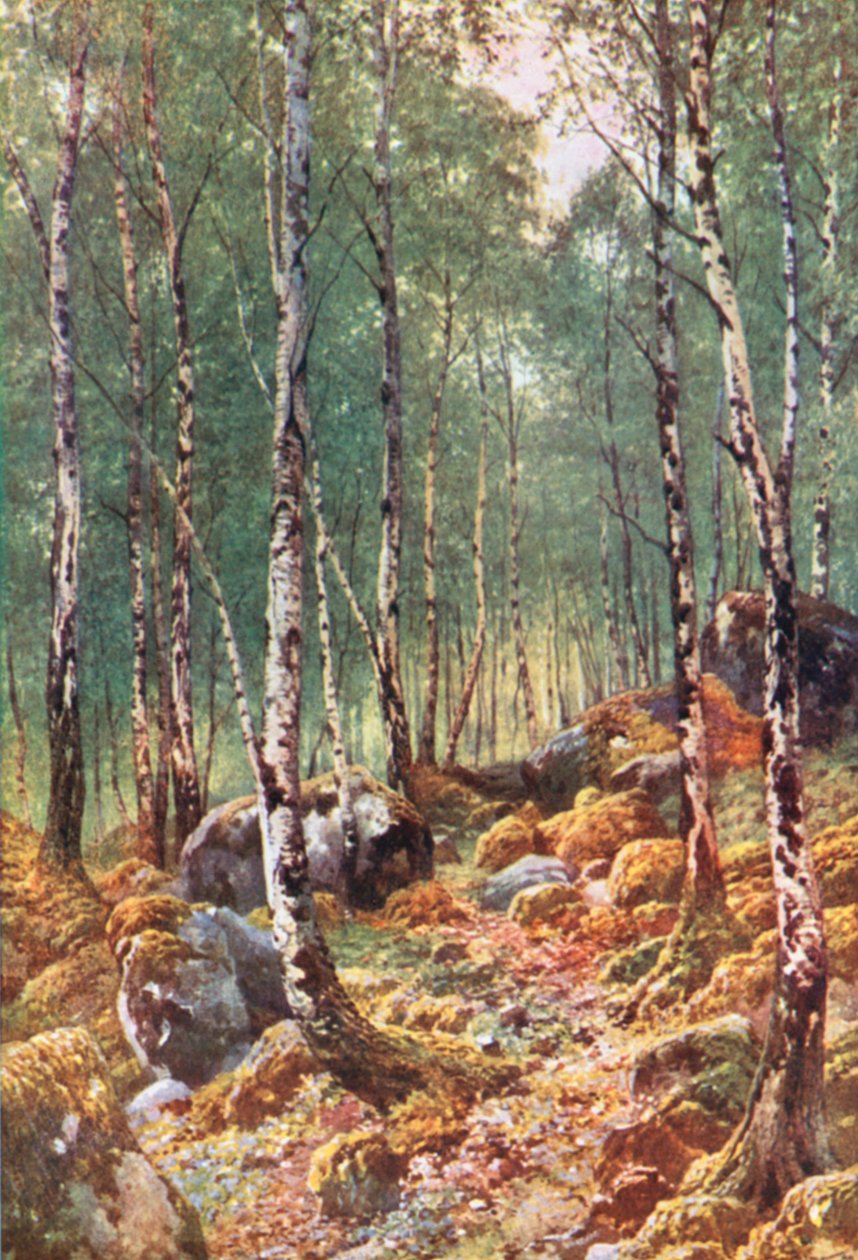  door Henry Sutton Palmer
