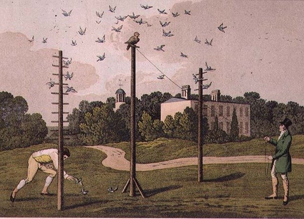Uilenjacht, gegraveerd door I. Clark, uitgegeven door T. McLean, Londen door Henry Thomas (after) Alken