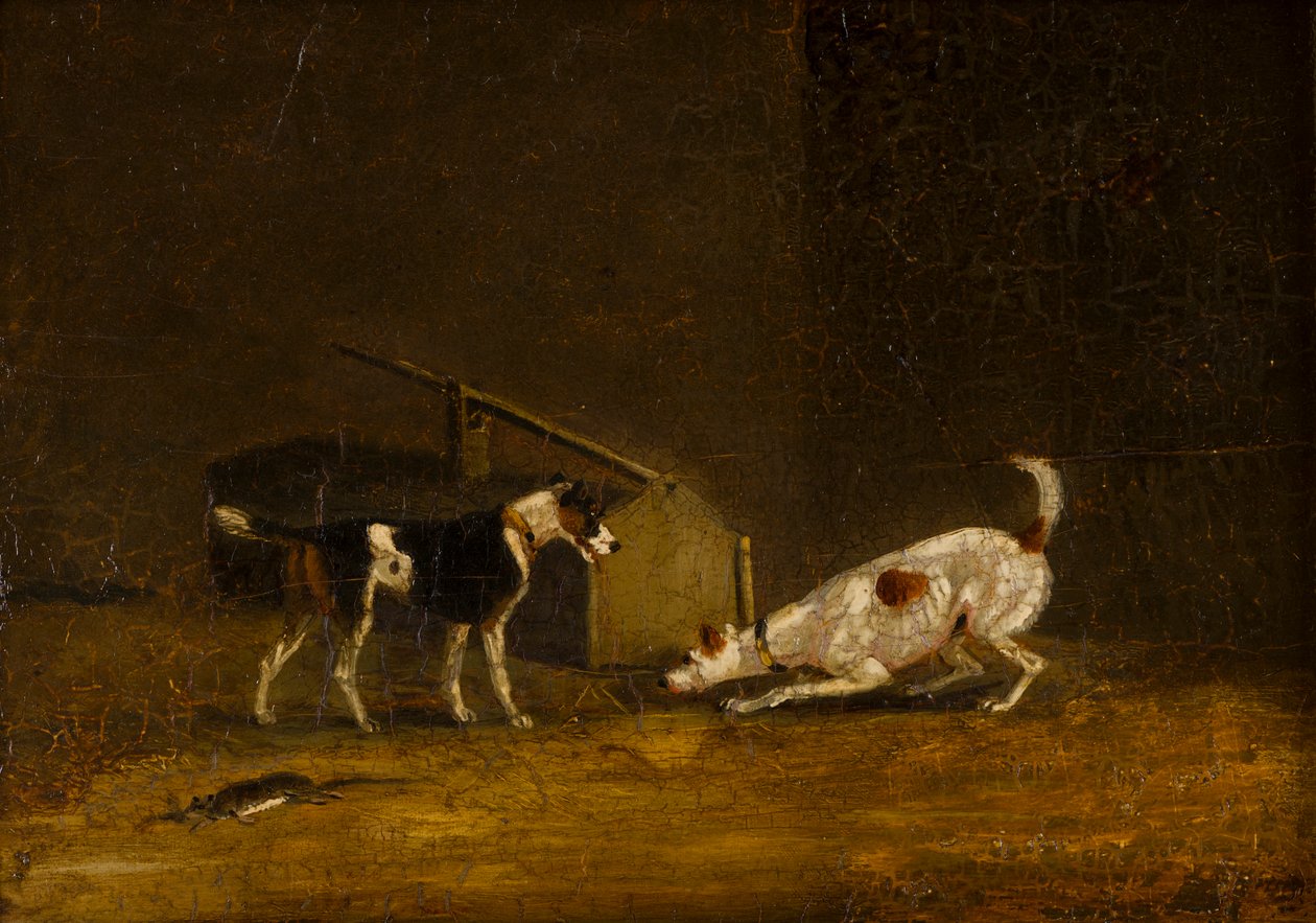 Twee Terriërs Ratting, c.1805-51 door Henry Thomas (follower of) Alken