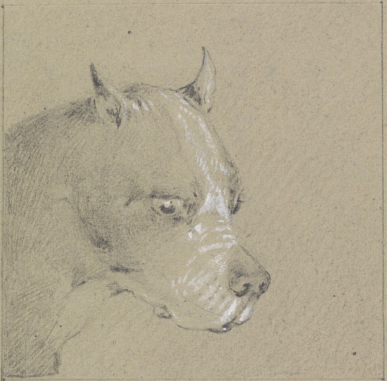 Hoofd en schouders van een bokserhond door Henry Thomas Alken