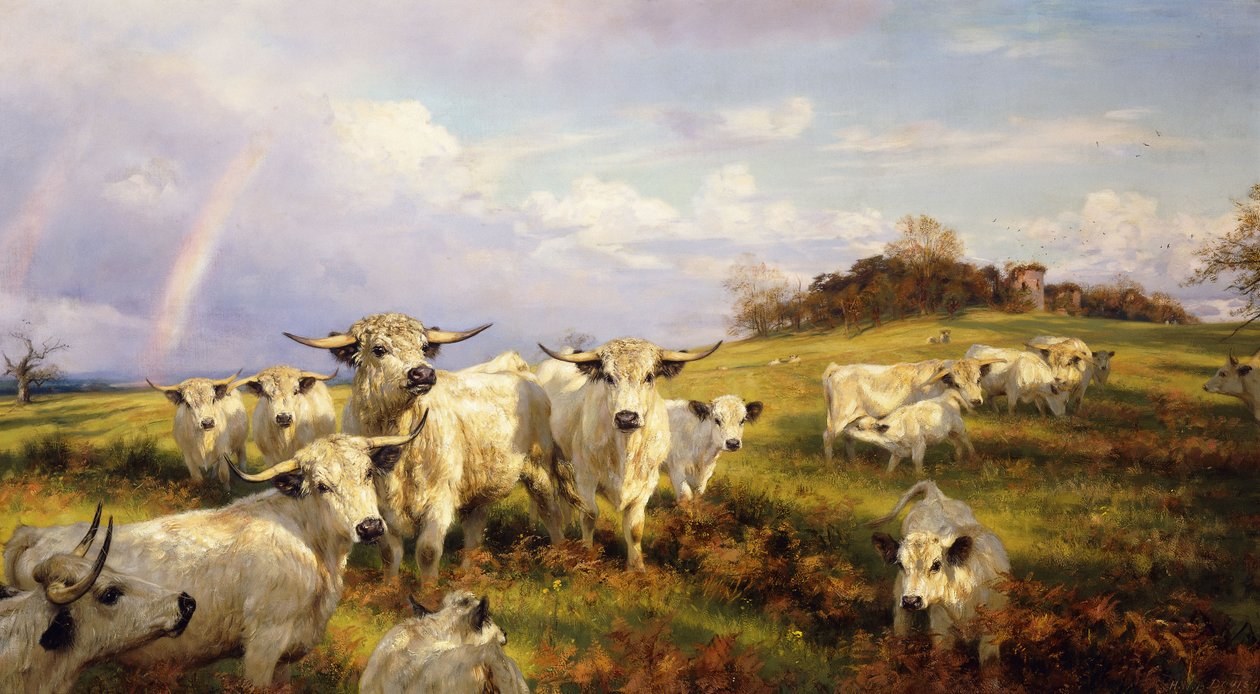 Wilde Runderen van Chartley, Chartley Kasteel op de Achtergrond, 1902 door Henry William Banks Davis