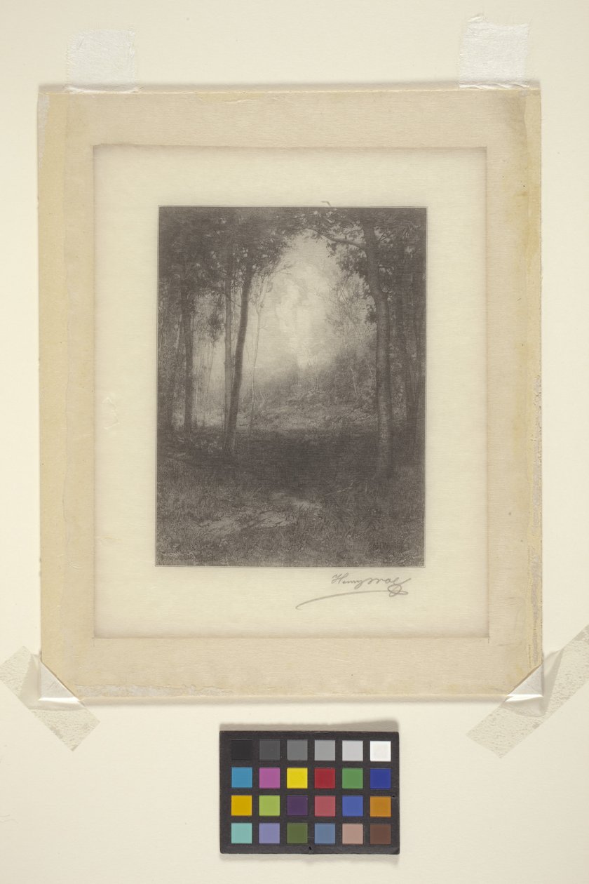 In De Adirondacks door Henry Wolf