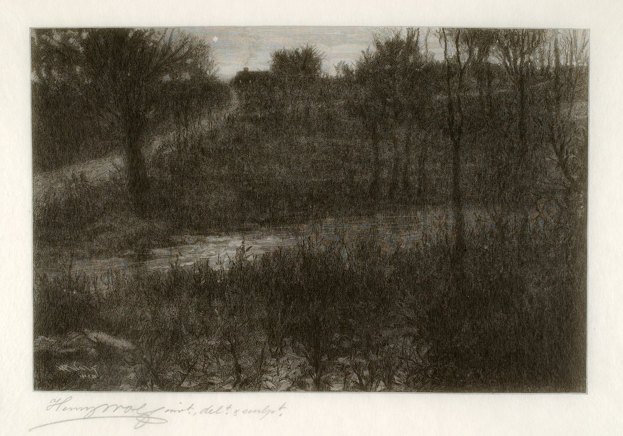 De Avondster (Motief gevonden in de Catskills) door Henry Wolf