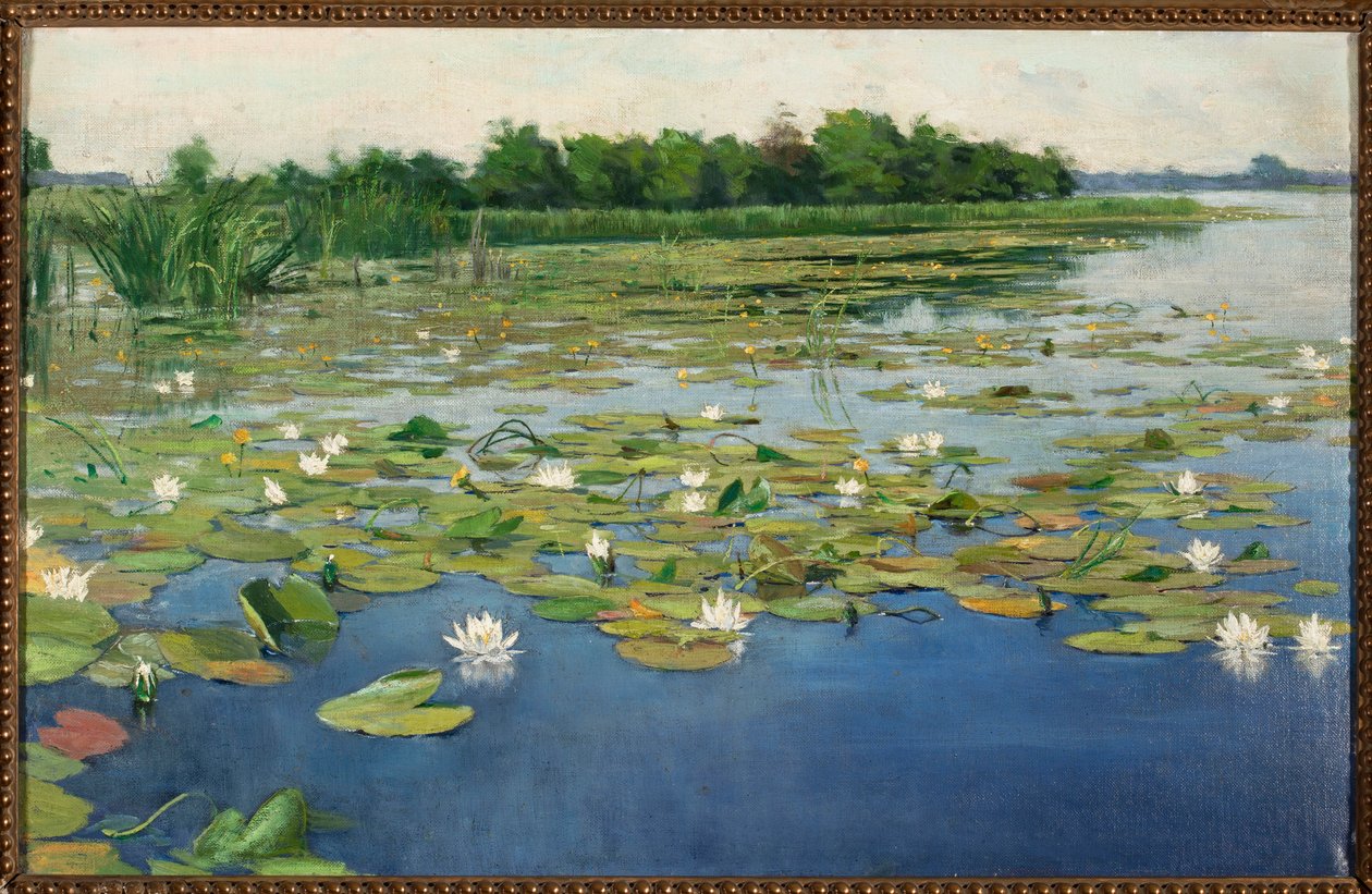 Waterlelies door Henryk Weyssenhoff