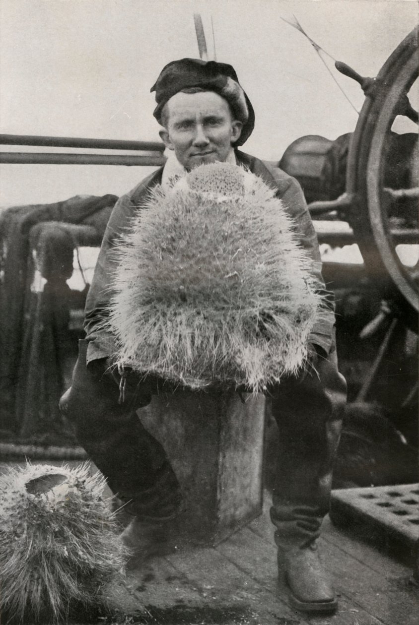 D. G. Lillie, met enkele van de kiezelachtige sponzen, c1911, 1913 door Herbert Ponting