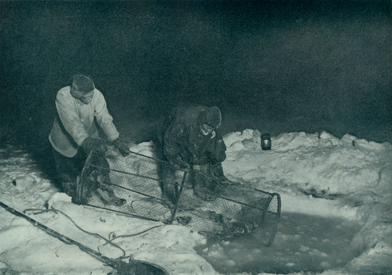 Dr. Atkinson en Clissold die de visval omhoog halen door Herbert Ponting