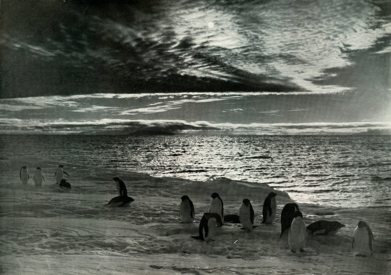 De Middernachtzon in McMurdo Sound, c1910-1913 door Herbert Ponting