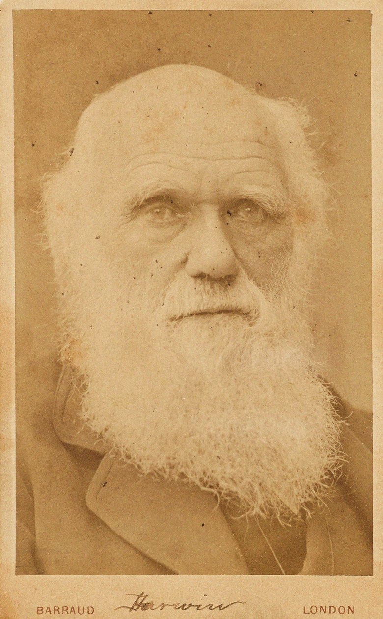 Portret van Charles Darwin 1809-1882 door Herbert Rose Barraud