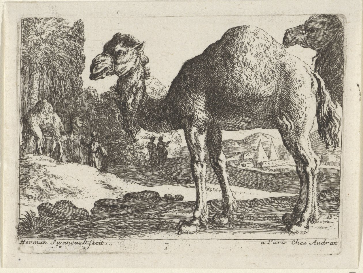 Kamelen Landschappen met dieren (serie titel) door Herman van Swanevelt