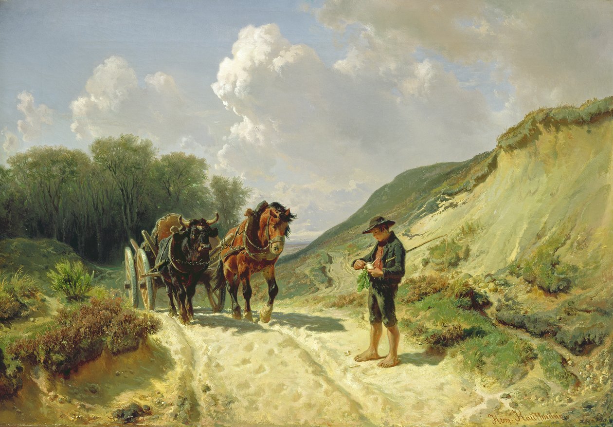 Twee soorten harnassen, ca.1855 door Hermann Kauffmann