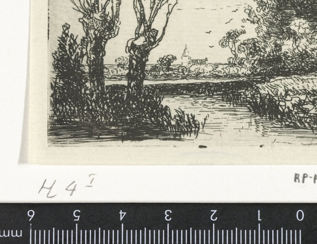 Landschap met twee knotwilgen door Hermanus Jan Hendrik van Rijkelijkhuysen