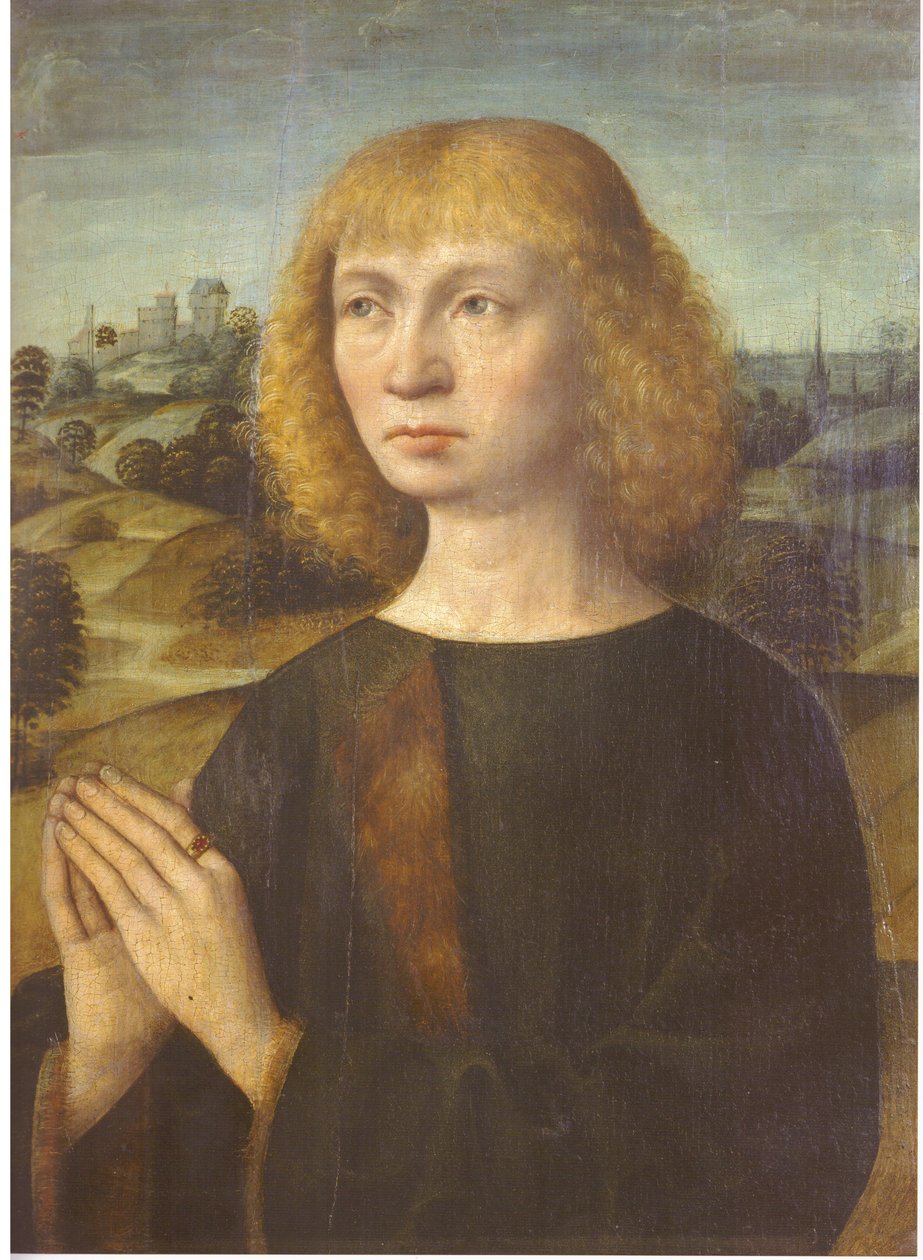 Portret van een jonge man door Hermen Rode