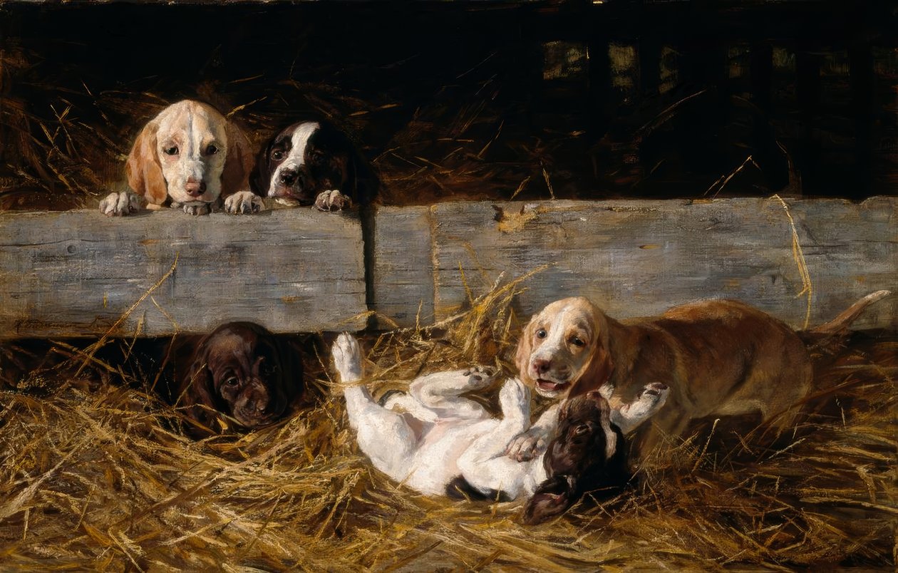 H. Biedermann-Arendts, Spelende puppy