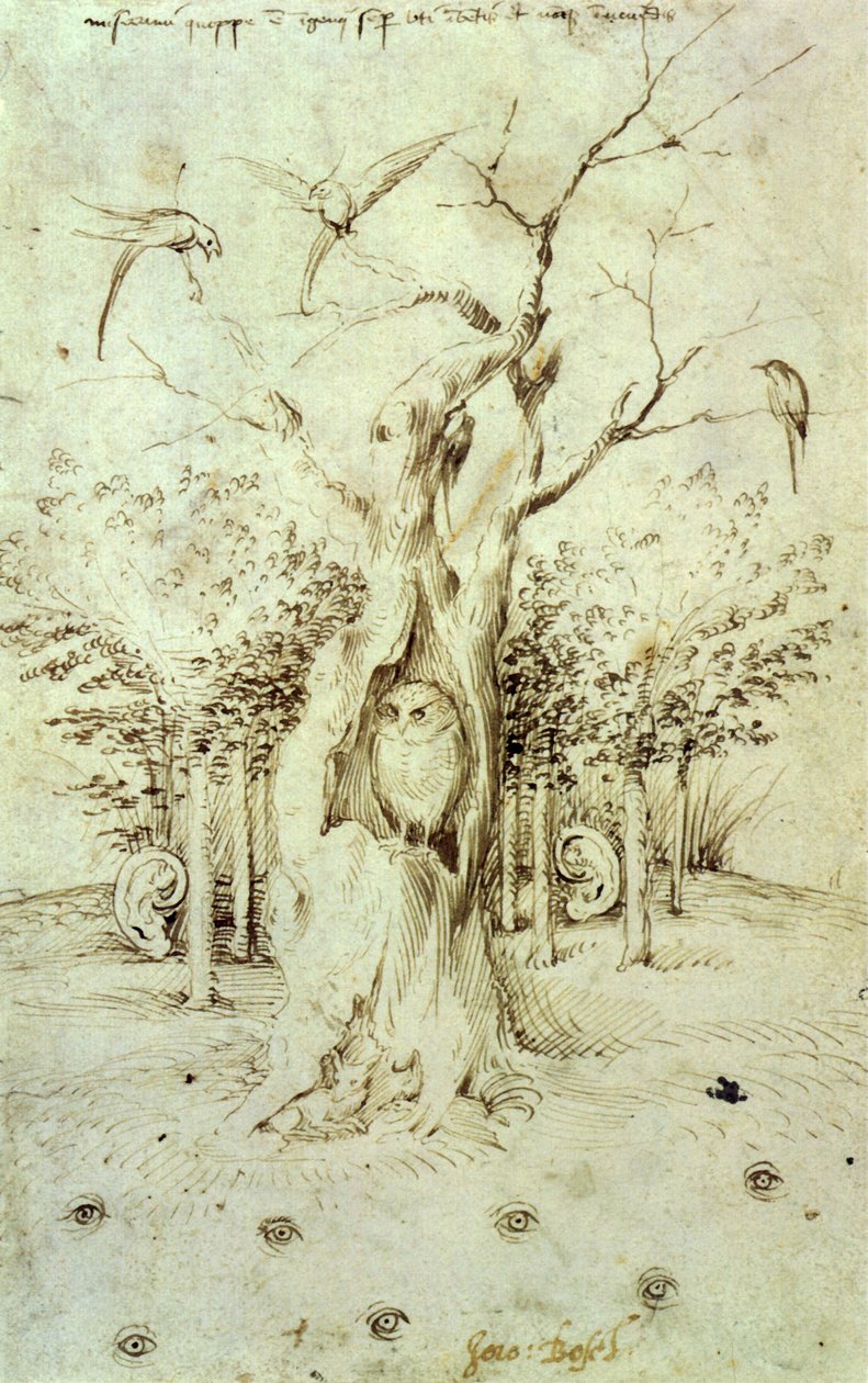 Het Bos dat Hoort en het Veld dat Ziet door Hieronymus Bosch