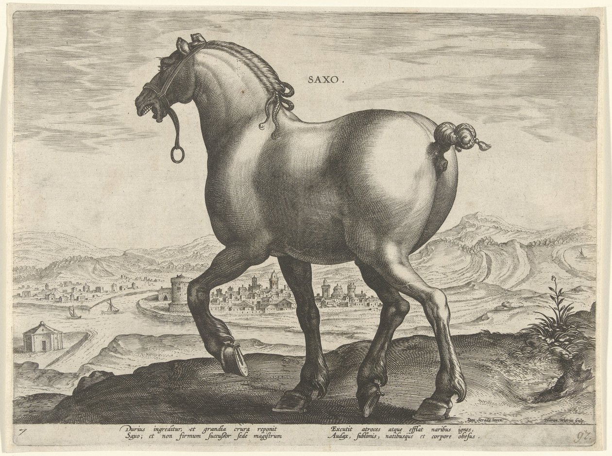 Paard uit Saksen door Hieronymus Wierix
