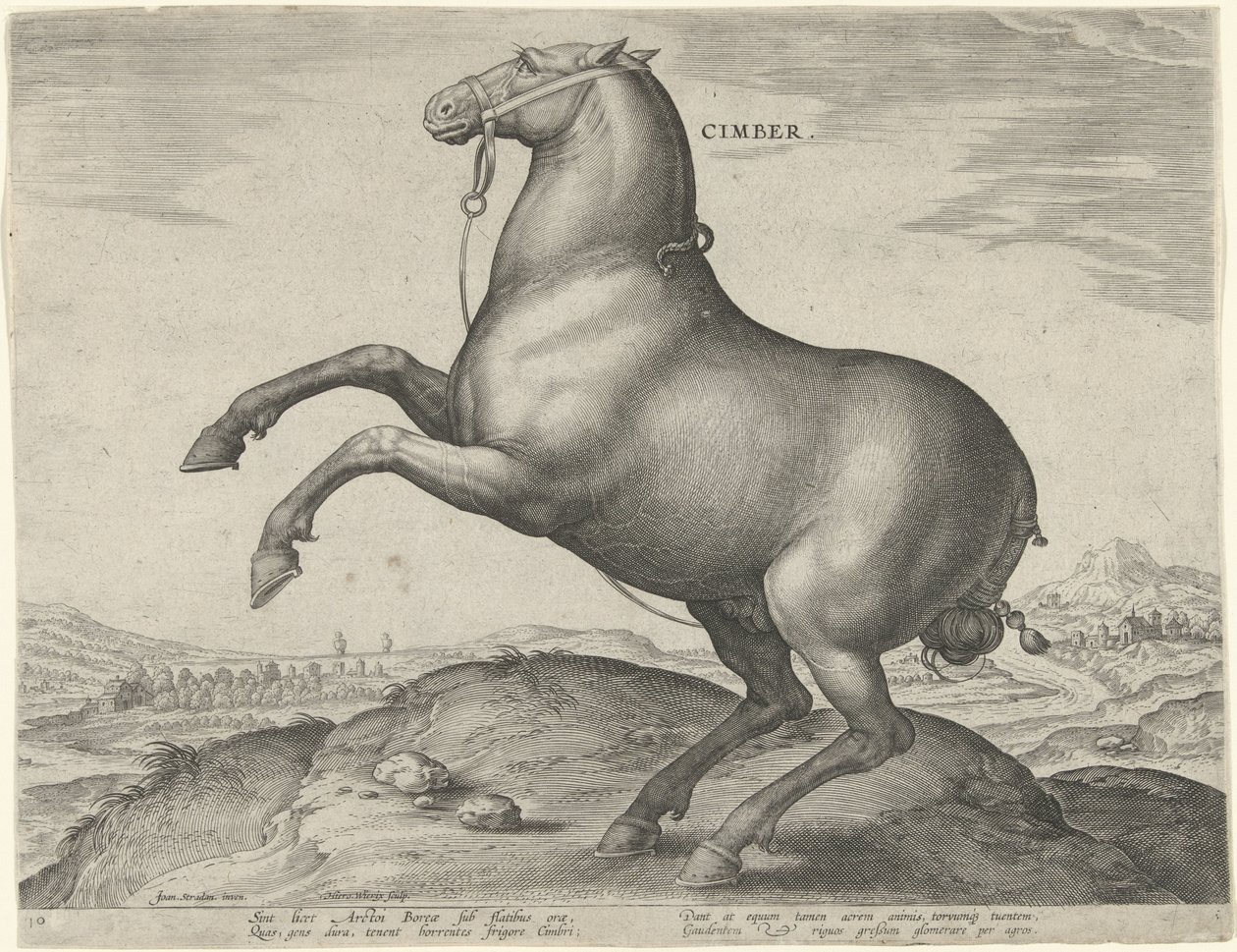 Paard uit Scythië door Hieronymus Wierix