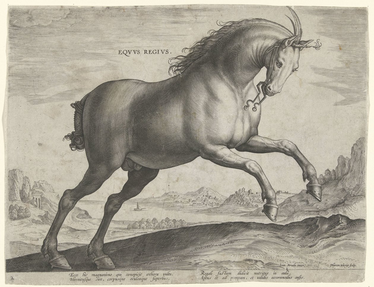Paard van het ras Equus Regius (de Koninklijke) door Hieronymus Wierix