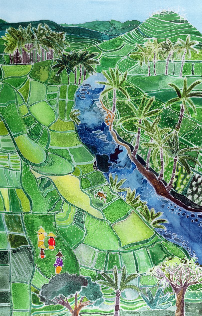 Rivier Agung, Bali, 1996 door Hilary Simon