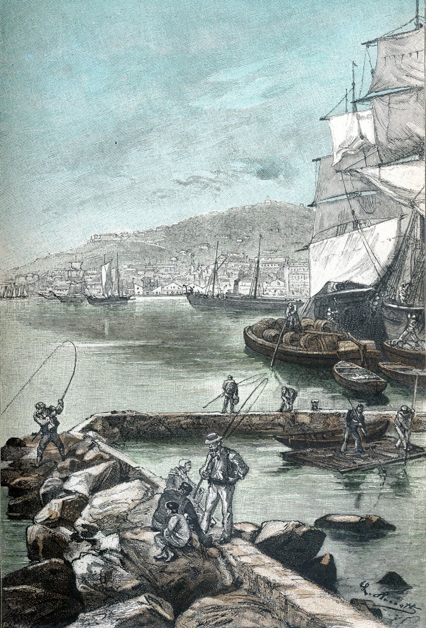 Illustratie in chromotypografie voor "Clovis Dardentor" door Jules Verne, gravure door L. Benett voor de Hetzel editie 1896 (gravure) door Hippolyte Leon Benett