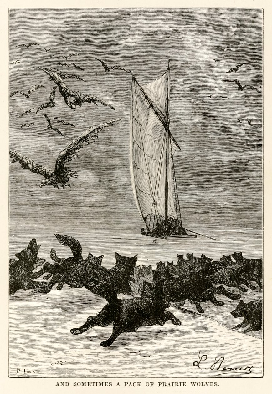 En soms een roedel prairie wolven, uit De Reis om de Wereld in Tachtig Dagen door Jules Verne (1828-1905) gegraveerd door Louis, 1873 door Hippolyte Leon after Benett