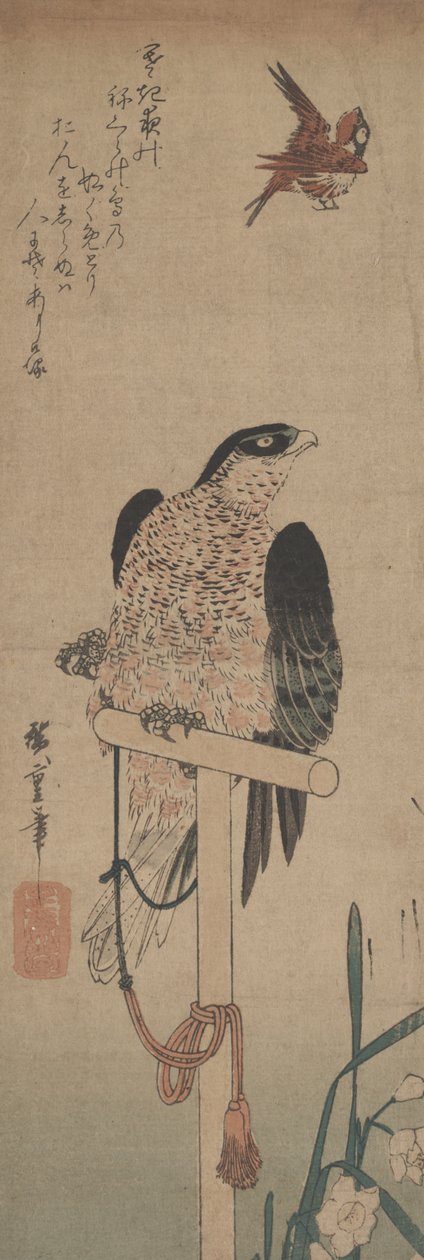 Valk op zitstok, mus en narcis door Hirokage Utagawa