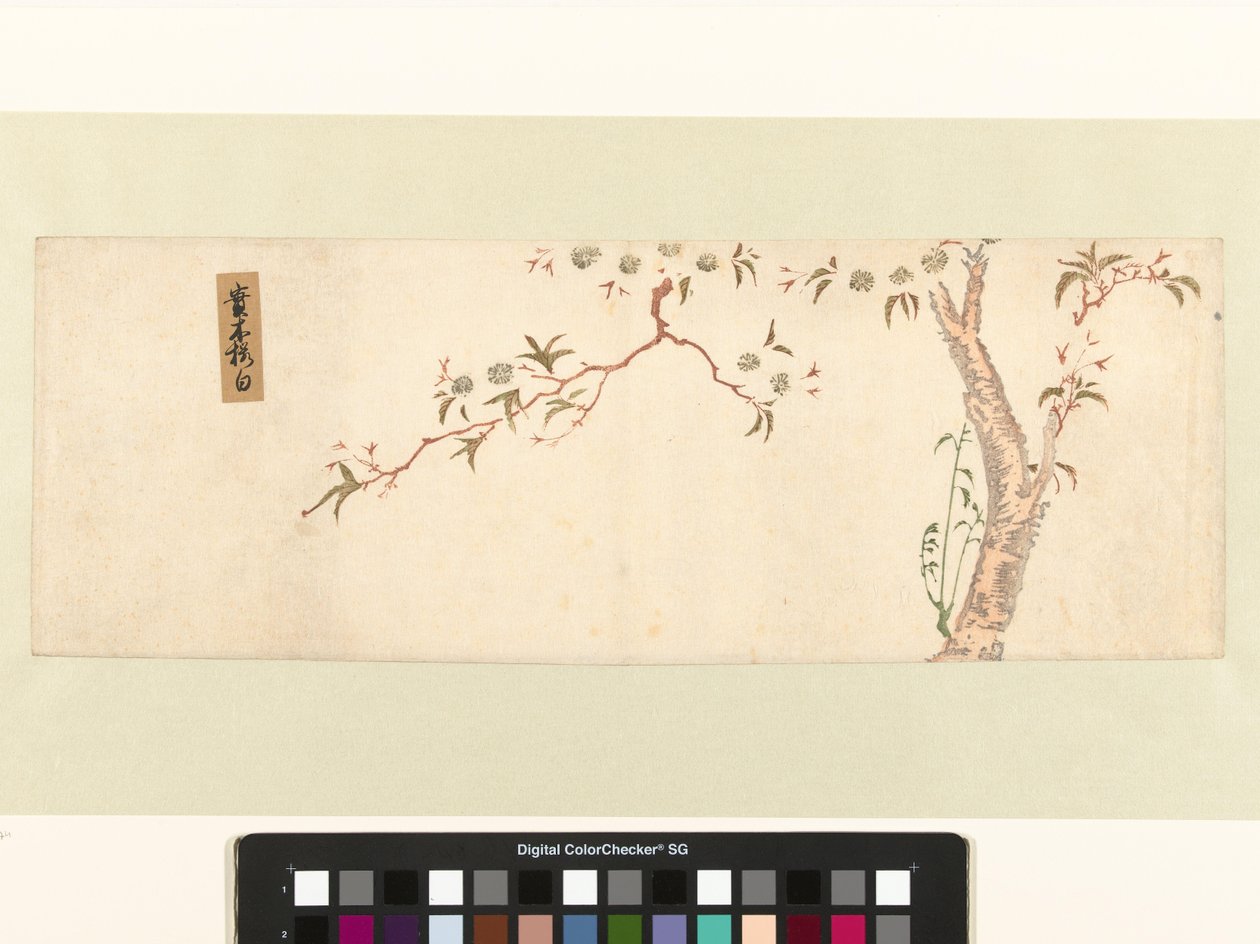 Bloesemende kersenboom door Hiroshige (I) , Utagawa (attributed to)