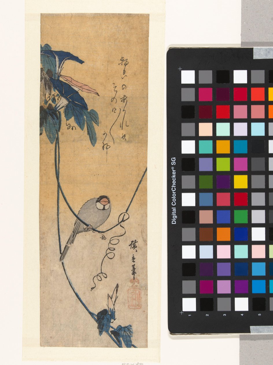 Vogel en blauwe winde door Hiroshige (I) , Utagawa