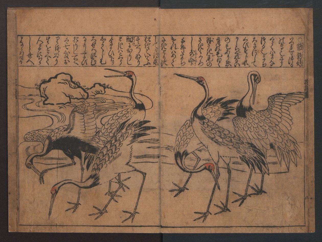 Illustrationen von Vögeln und Blumen (Kachō e-zukushi) door Hishikawa Moronobu