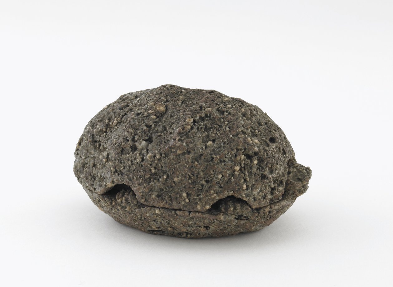 Wierookdoos in de vorm van een schildpad, Kyoto, Edo-periode door Honami Koho
