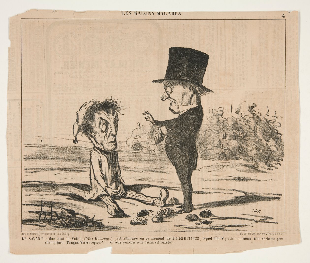 Le Savant - Mijn vriend, de Wijnstok (Vitis Linnoeus), wordt momenteel aangevallen door Honoré Daumier