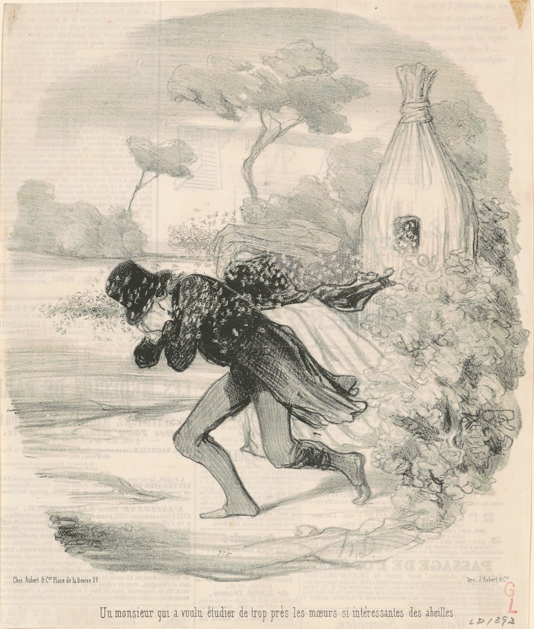 Een heer die de gewoonten van bijen wilde bestuderen door Honoré Daumier