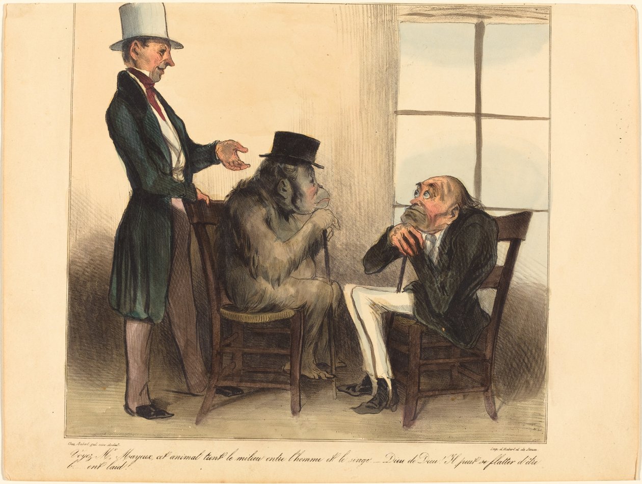 Voyez, Mr. Mayeux, cet animal... door Honoré Daumier