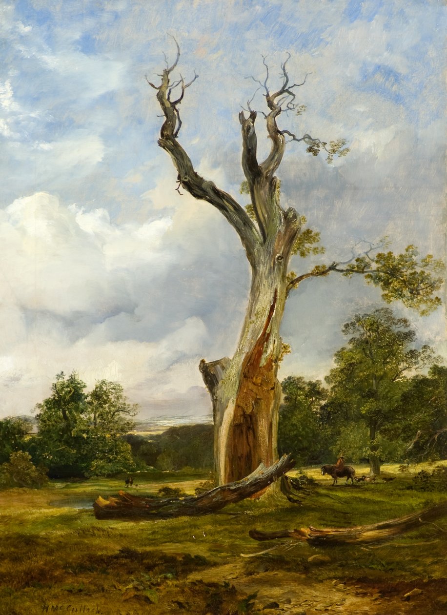 De Verwoeste Boom, c.1838 door Horatio McCulloch