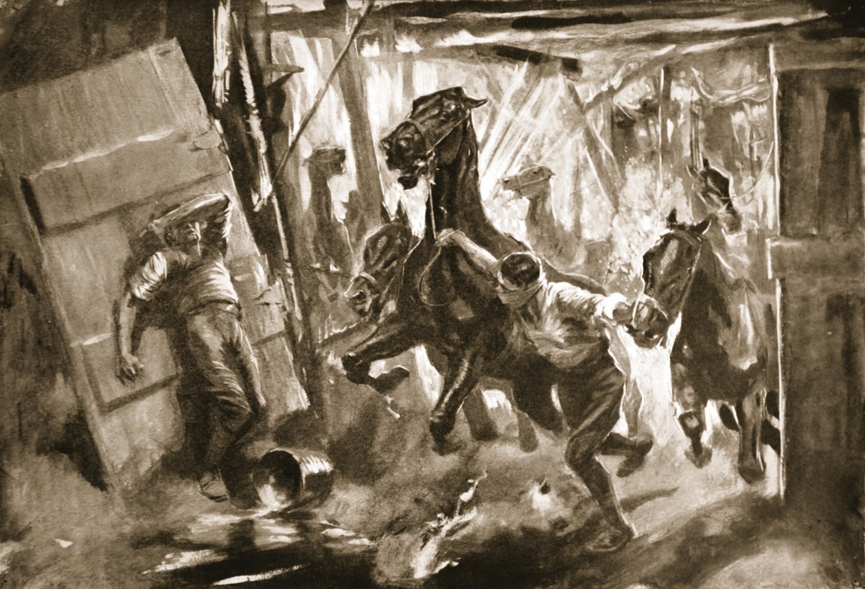 Provisorische hoefsmid-sergeant Cussens bevrijdt paarden uit stallen waarin een granaat was ontploft door Howard K. Elcock