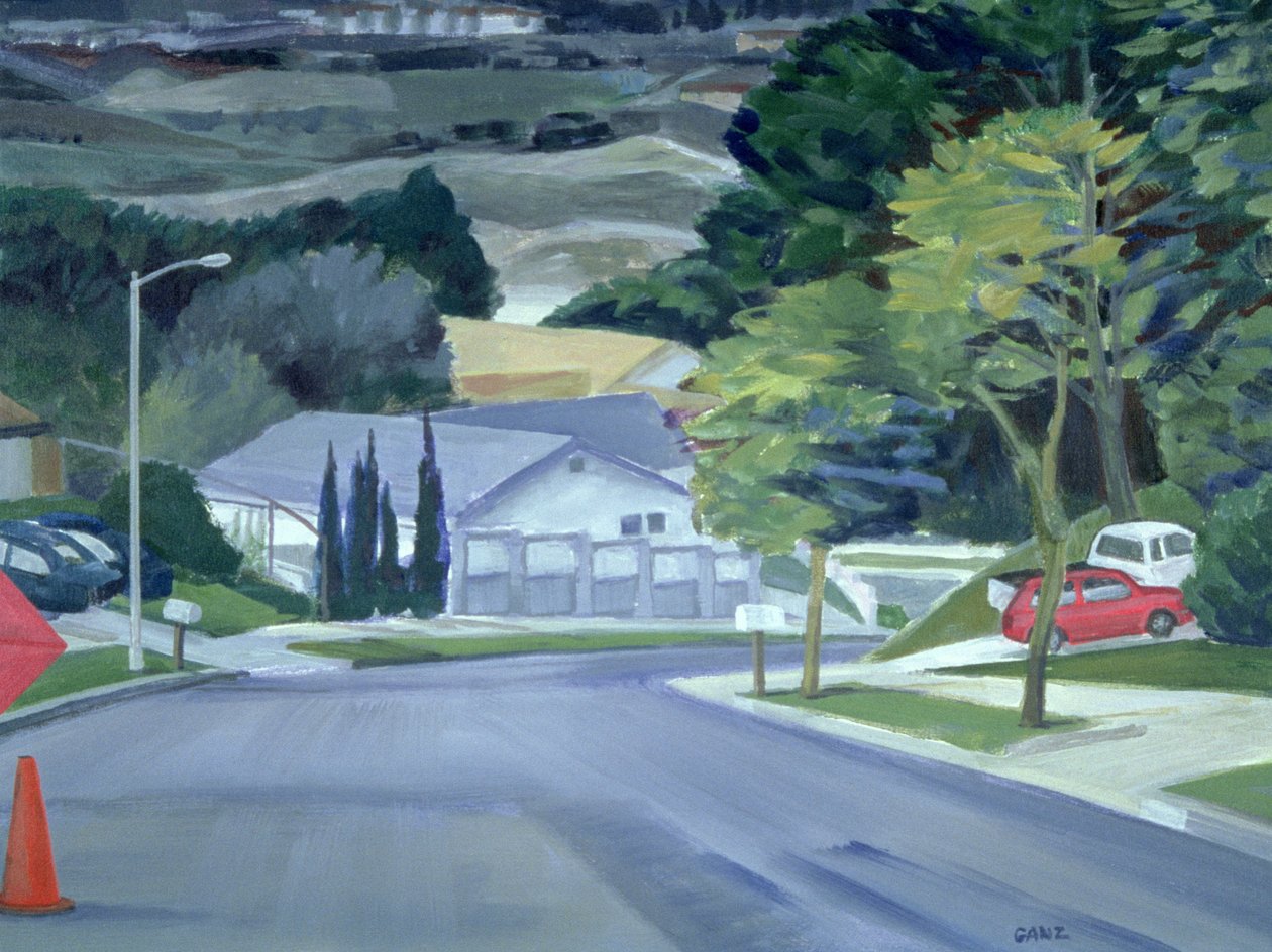 Kijkend naar Mijn Straat, 2000 door Howard Ganz