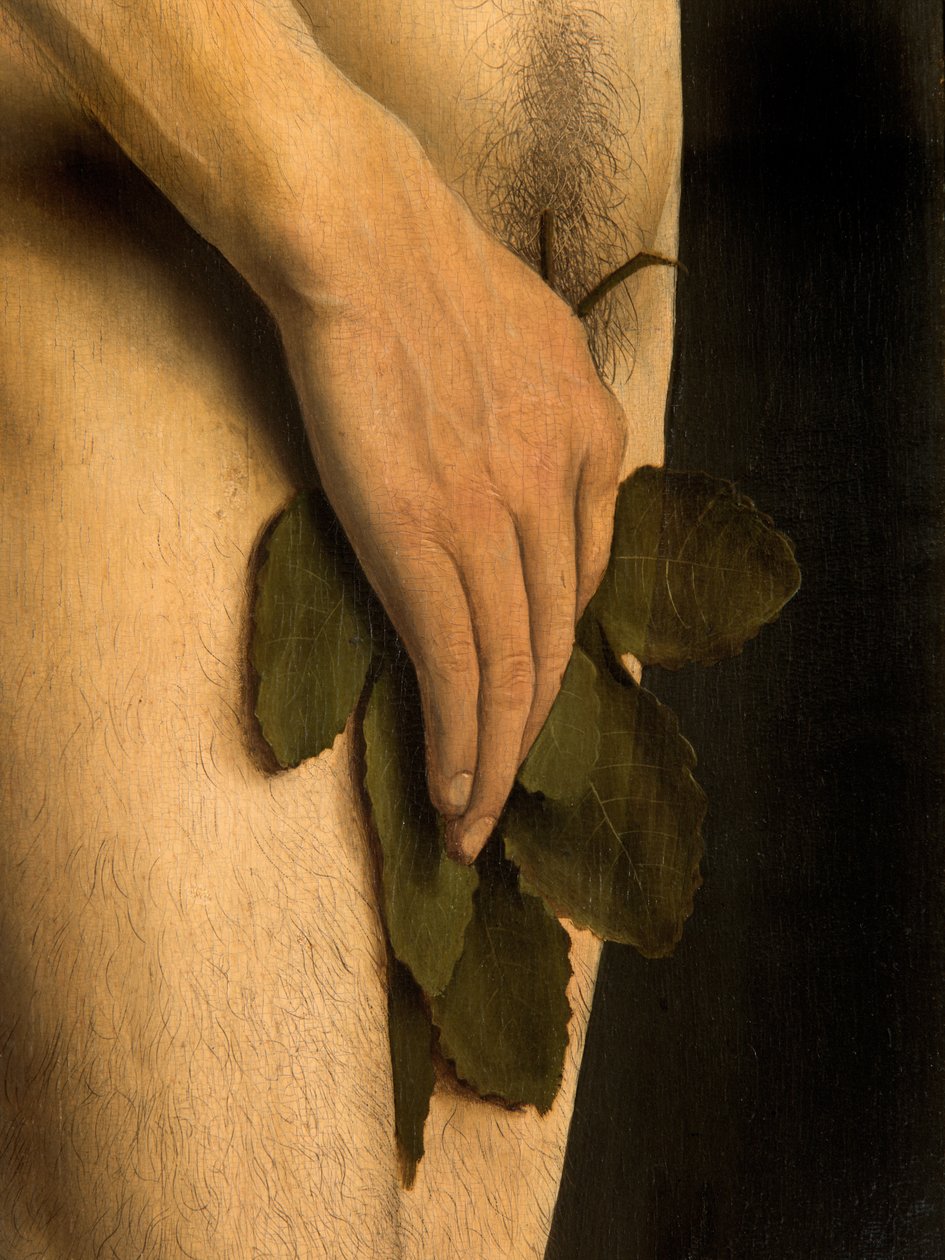 Detail van Adam (detail) door Hubert & Jan van (1390-1441) Eyck