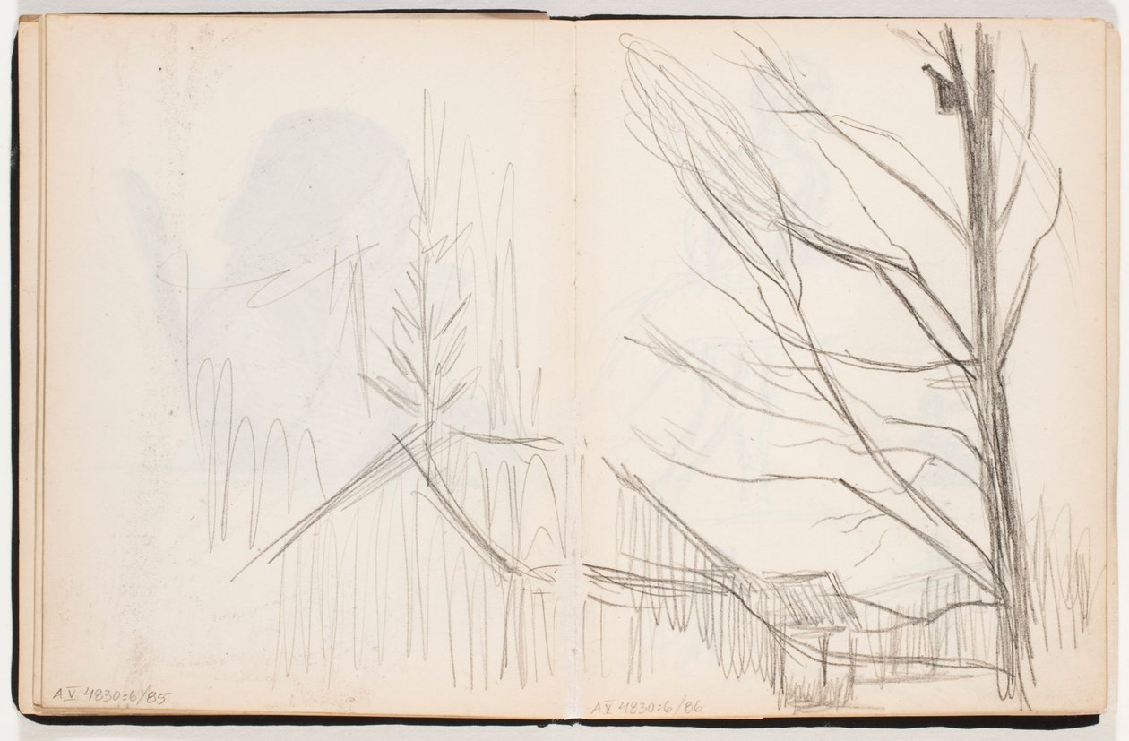Zonder titel door Hugo Simberg