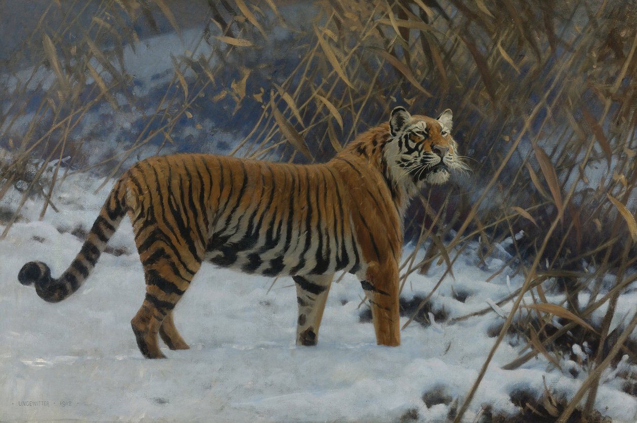 Een tijger in de sneeuw door Hugo Ungewitter
