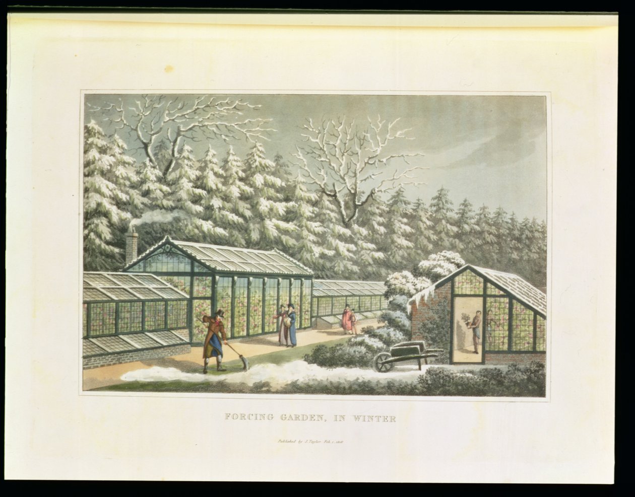 Kweektuin in de winter, uit 