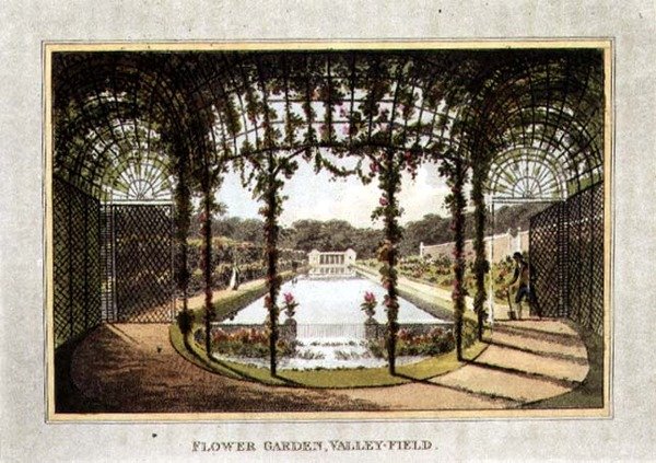 Bloementuin, Valley-Field, uit 