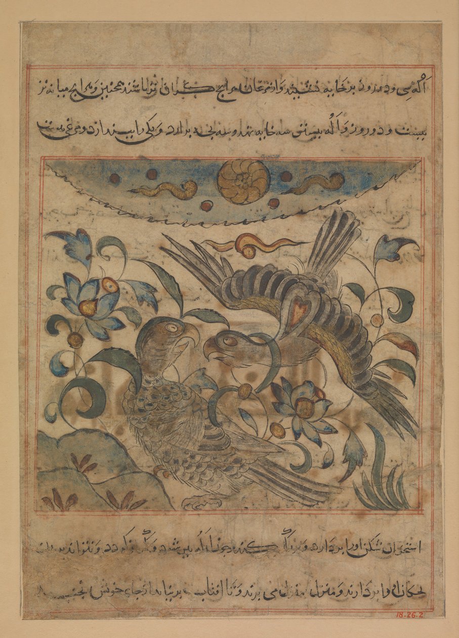 Paar Adelaars, Folio uit een Manafi
