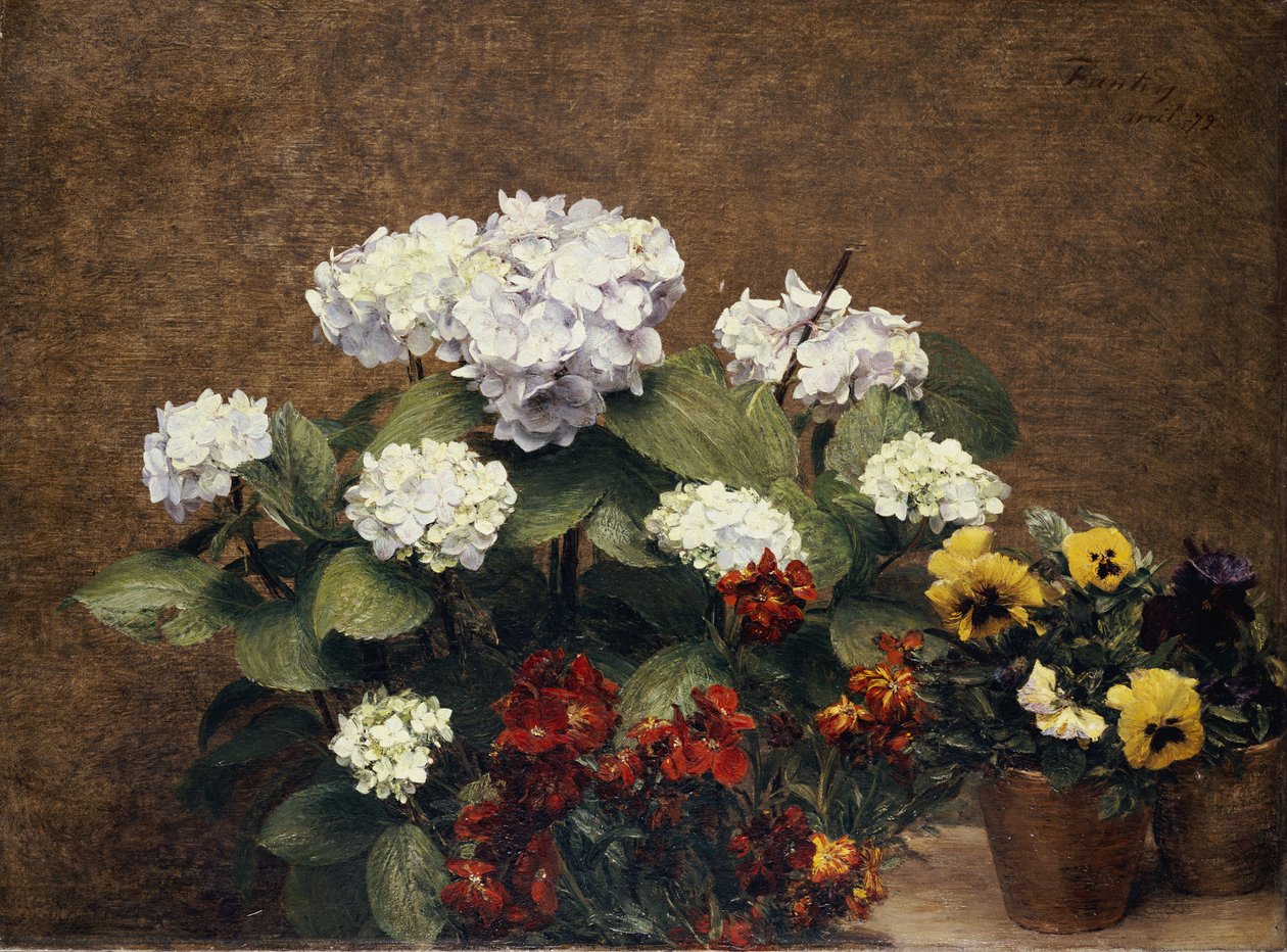Hortensia