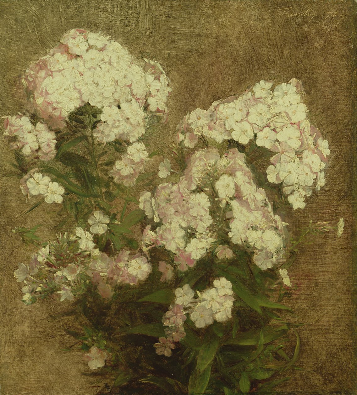 Phlox, 1870 door Ignace Henri Jean Fantin Latour