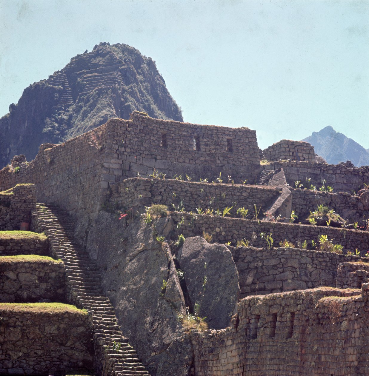 Ruïnes van terrasgebouwen van de citadel in Machu Picchu door Incan