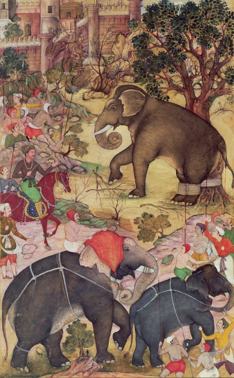Akbar inspecteert de wilde olifant gevangen uit de kudde nabij Malwa, uit de Akbarnama, Mughal, c.1590-95 door Indian School