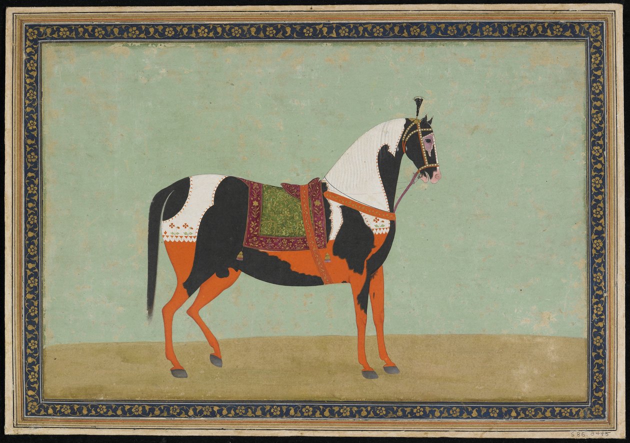Een Paard, Albumblad, 19e eeuw door Indian School