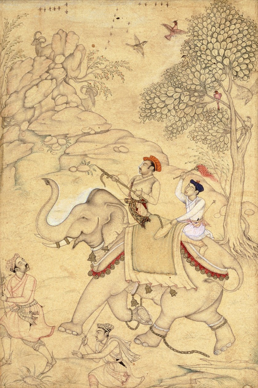 Een prins op jacht, gezeten op een olifant, c.1600-1650 door Indian School